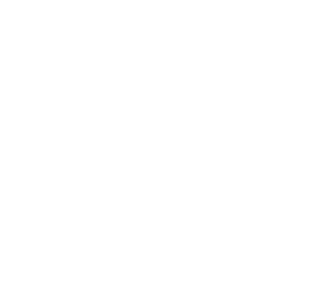 FleetWitness-logo-SYMBOL-WHITE - Fleet Witness - Fleet Tracking Fleet Witness Symbol - White Out
